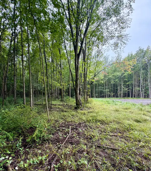 Lot 6 Christopher Lane, South Haven, MI 49090