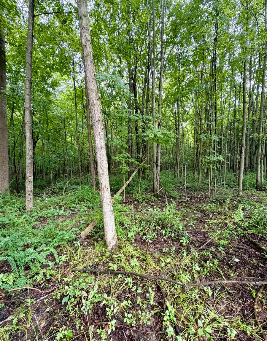 Lot 6 Christopher Lane, South Haven, MI 49090 - #2