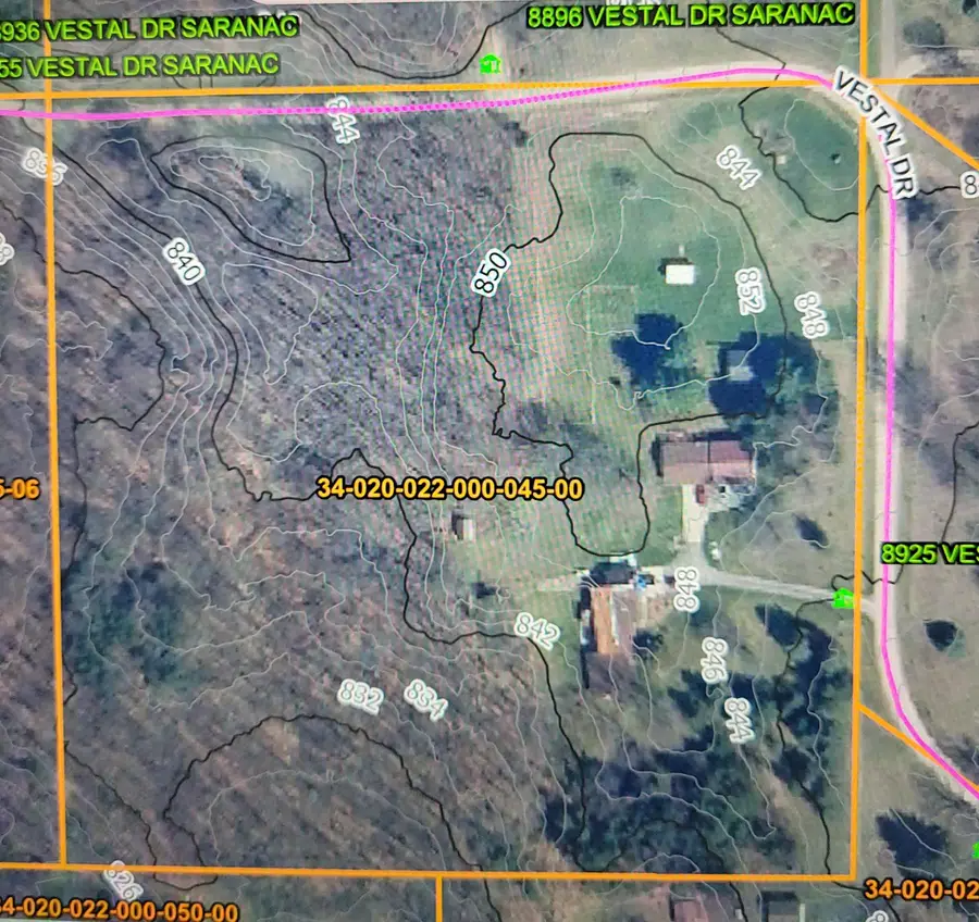 8925 Vestal Drive, Saranac, MI 48881 - #3