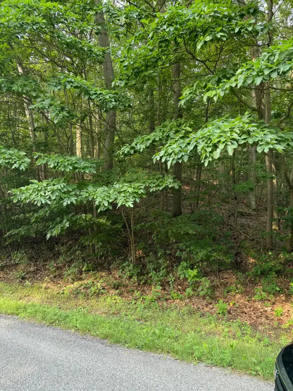 Wildwood Drive, West Olive, MI 49460