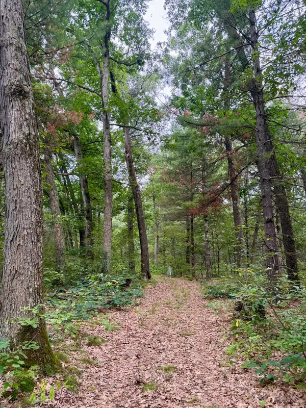 V/l Round Lake Drive #Parcel 17, Holton, MI 49425
