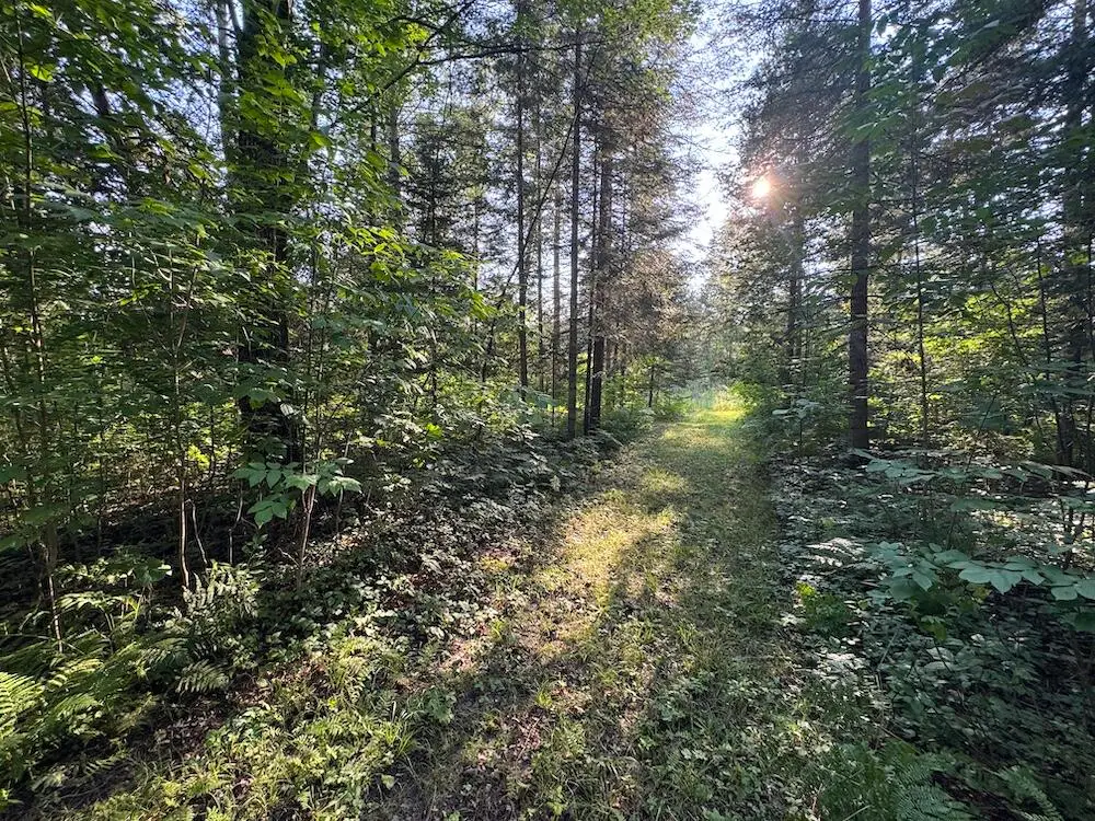 Channel Lake Road, West Branch, MI 48661 - #1