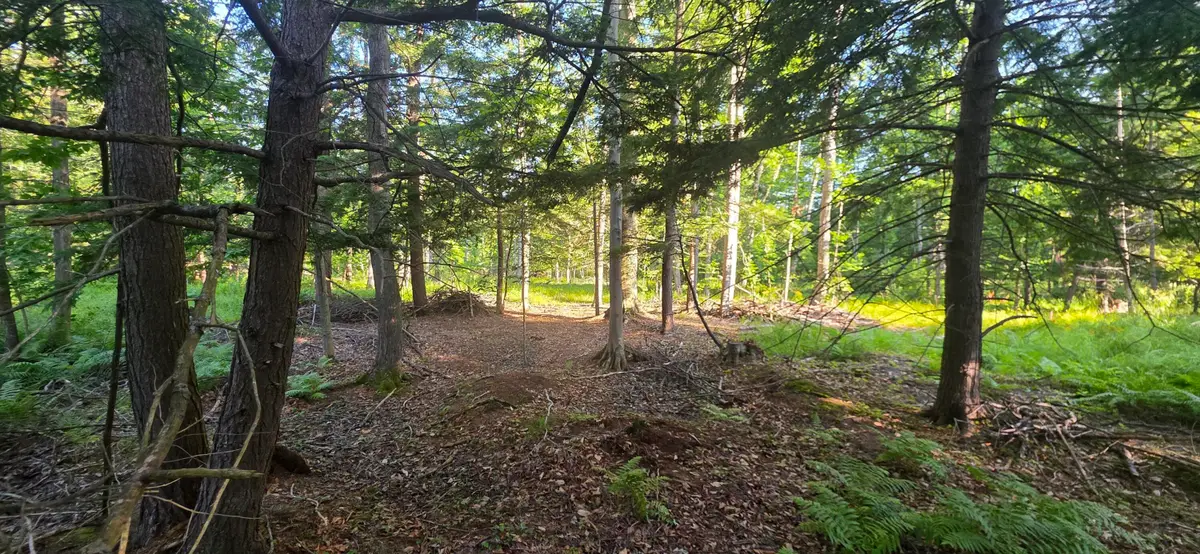 10 acres E Free Soil Road, Free Soil, MI 49411 - #1
