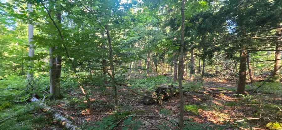 10 acres E Free Soil Road, Free Soil, MI 49411 - #2
