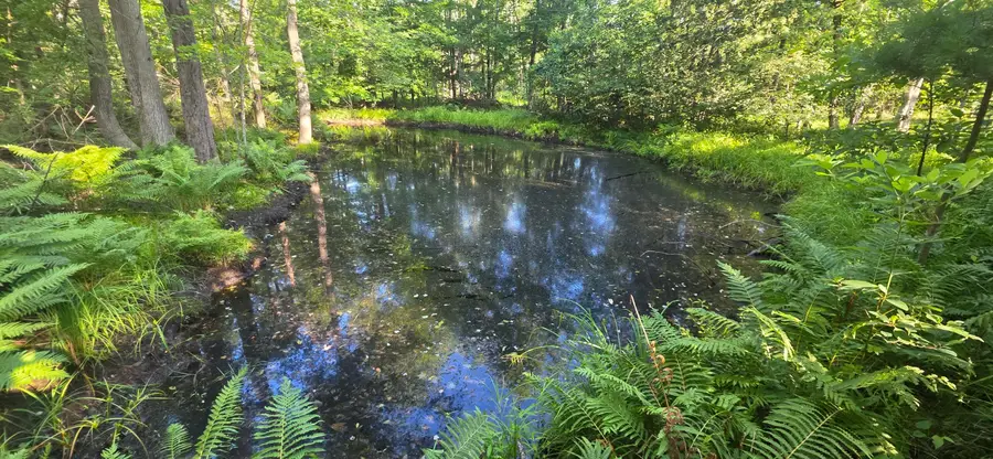 10 acres E Free Soil Road, Free Soil, MI 49411 - #3