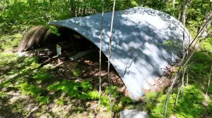 13+ Acres E Free Soil Road, Free Soil, MI 49411 - #3