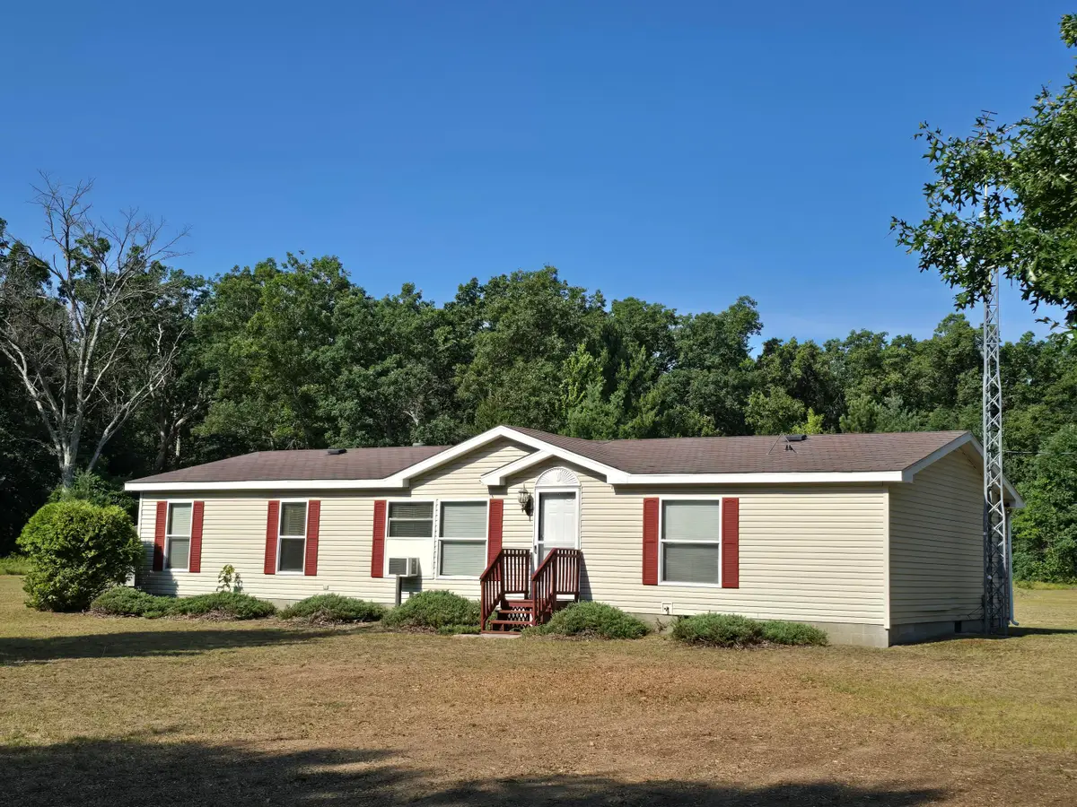 6809 N Centerline Road, White Cloud, MI 49349 - #1
