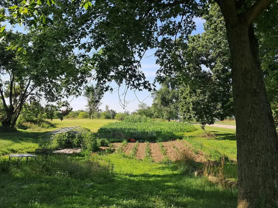 6331 Steamburg Road, Hillsdale, MI 49242 - #2