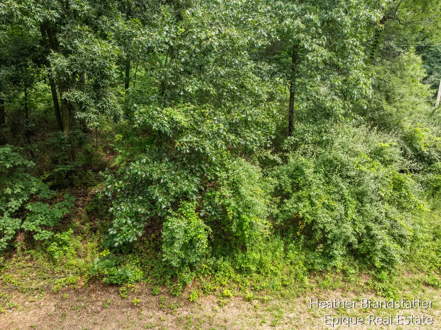13271 NE Beckwith Drive Drive Ne, Lowell, MI 49331 - #3