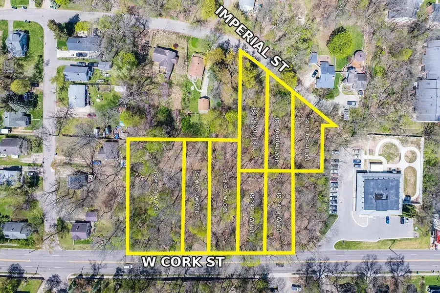 132 W Cork Street, Kalamazoo, MI 49001 - #2