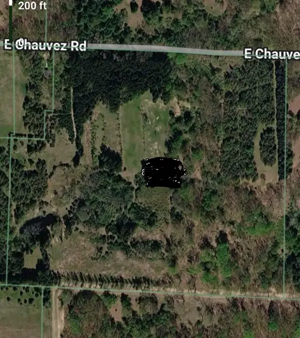 V/L E Chauvez Road, Custer, MI 49405