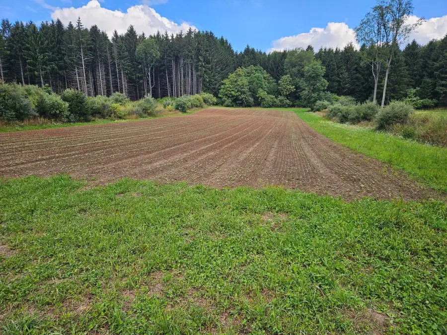 V/L E Chauvez Road, Custer, MI 49405 - #3