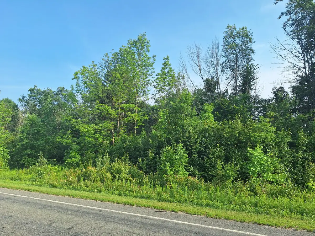 000 VL 14 Mile Rd, Leroy, MI 49655 - #1