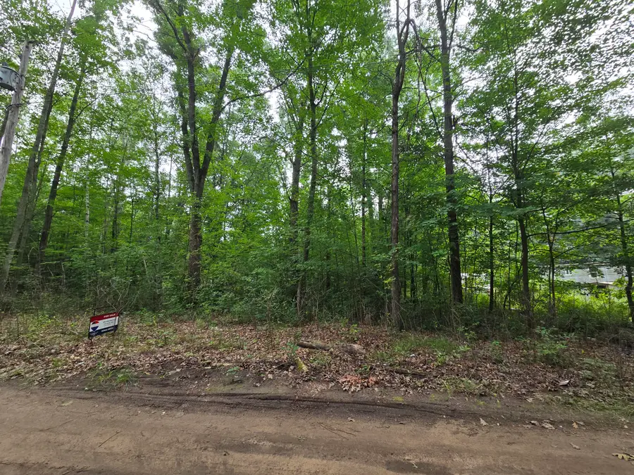 2928 N 3rd Street, White Cloud, MI 49349 - #3
