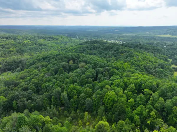 V/L 40A Lambdin Road, East Jordan, MI 49727