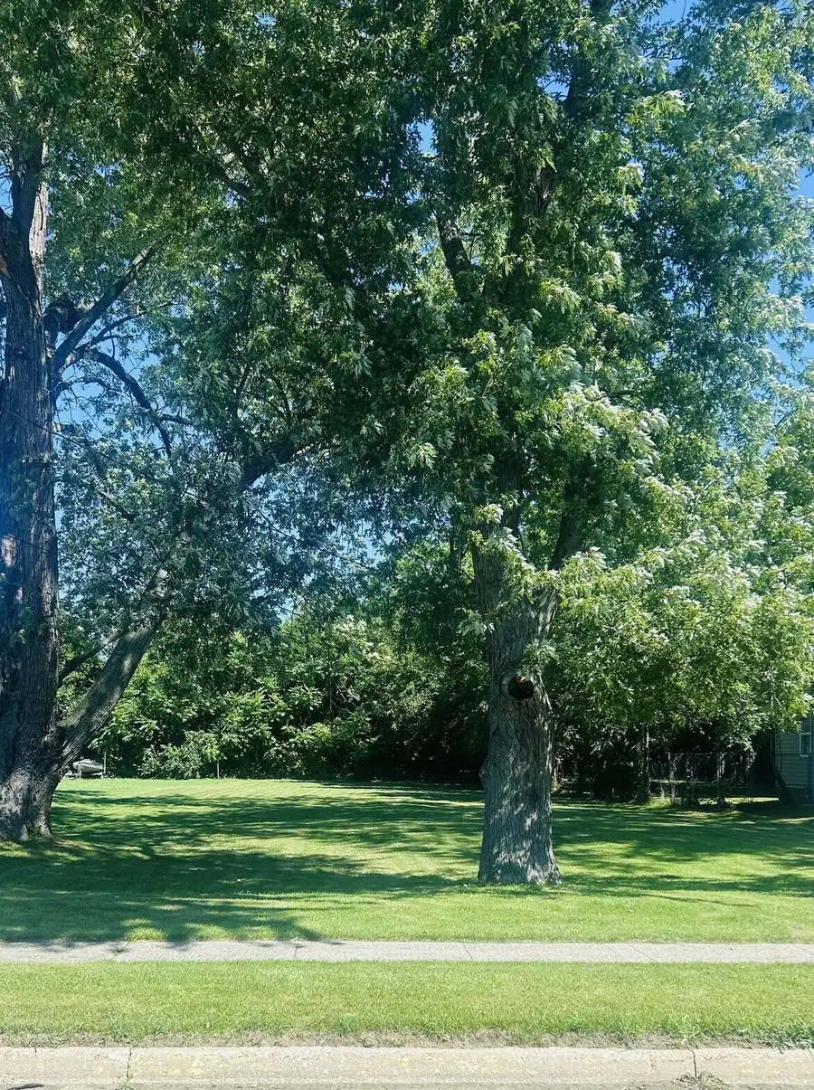 261 S West Street, Coloma, MI 49038 - #2