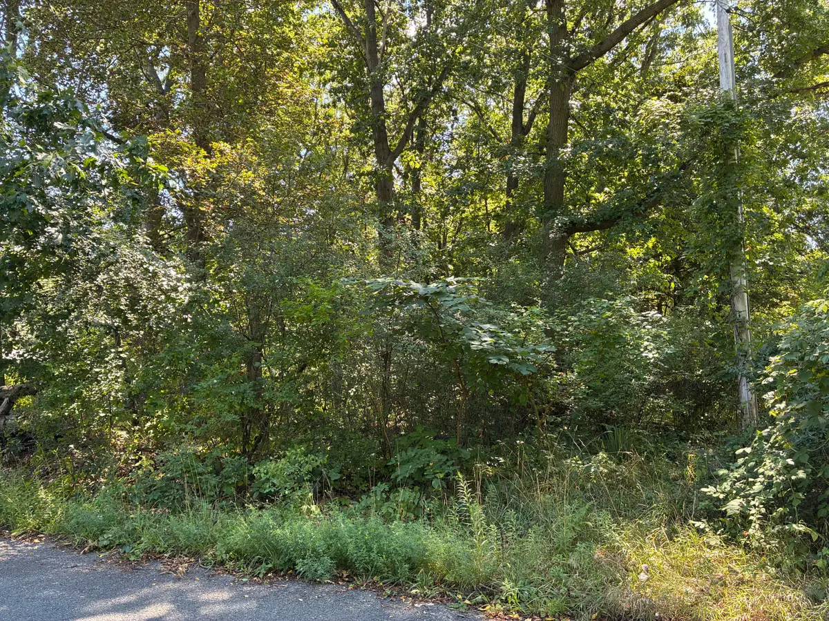 Francis Avenue, Kalamazoo, MI 49048 - #1
