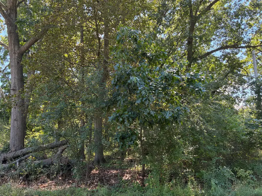 Francis Avenue, Kalamazoo, MI 49048 - #2