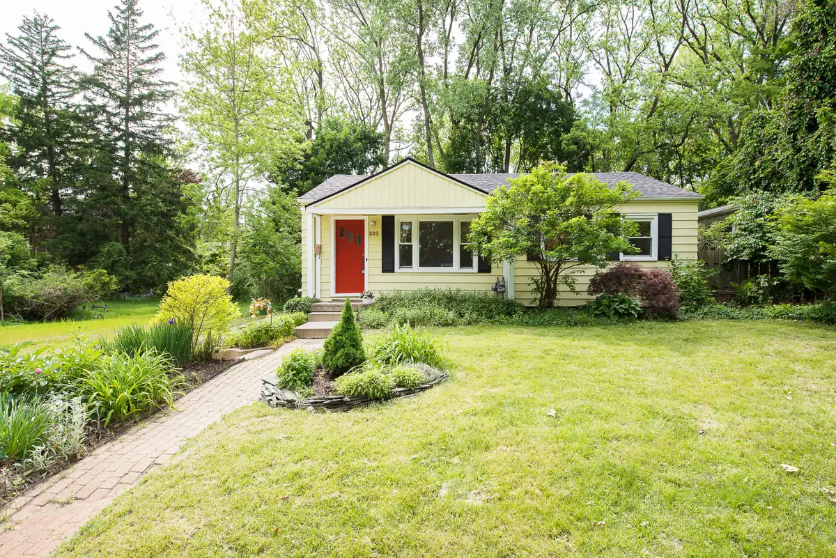 203 Doty Avenue, Ann Arbor, MI 48103 - #1