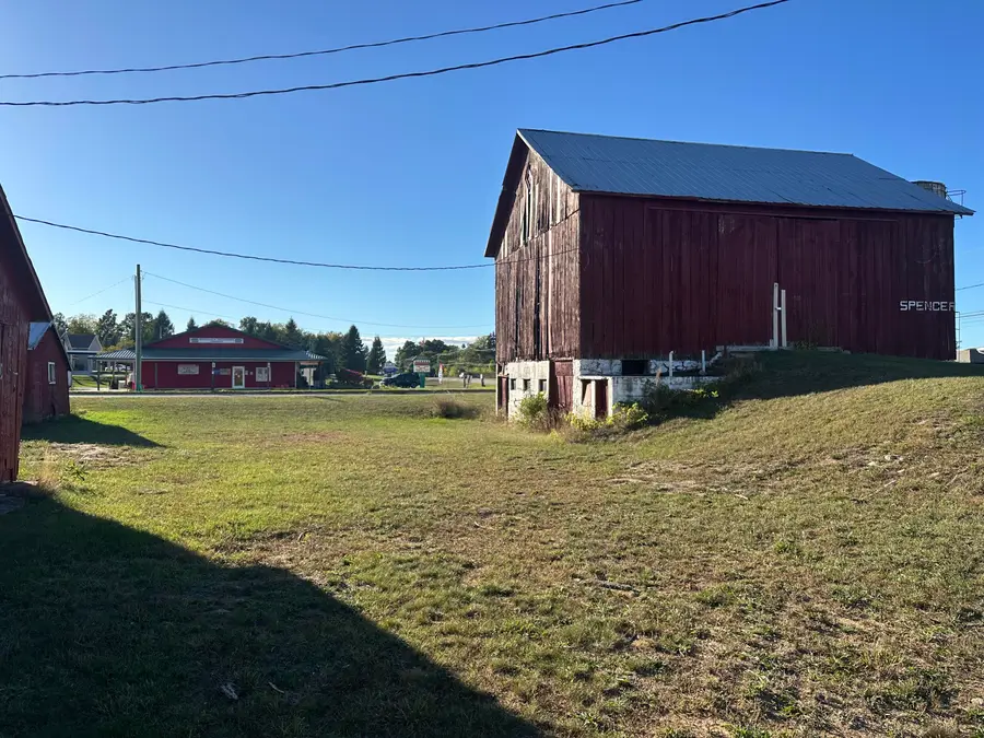 W Polk Road, Hart, MI 49420 - #2