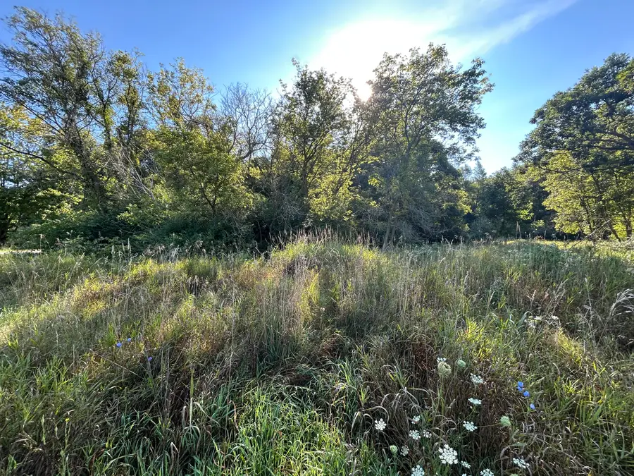 0 Mckinney, Brooklyn, MI 49230 - #3