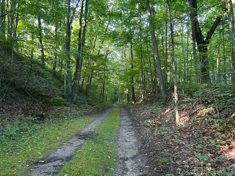 5300 Lammers Road, Hastings, MI 49058 - #3