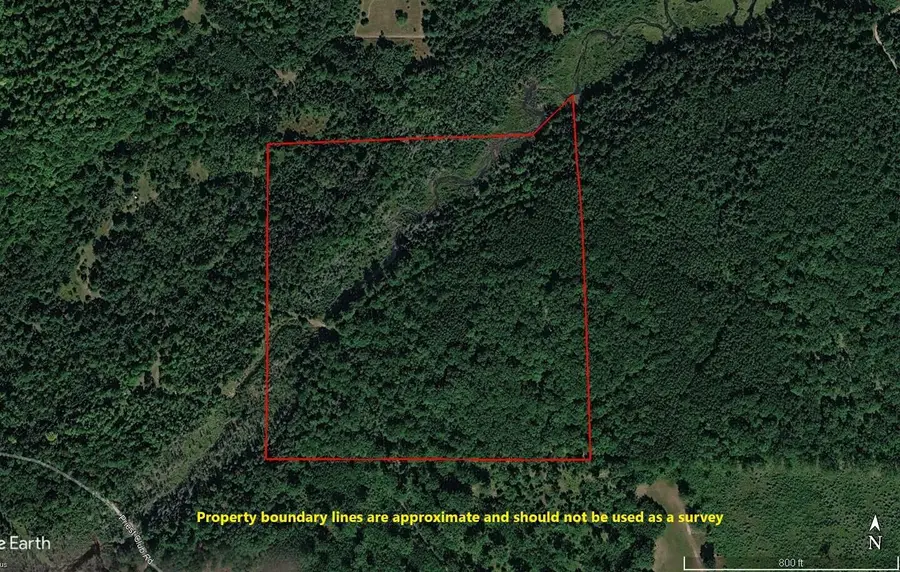22006 Bowden Trail, Hillman, MI 49746 - #2