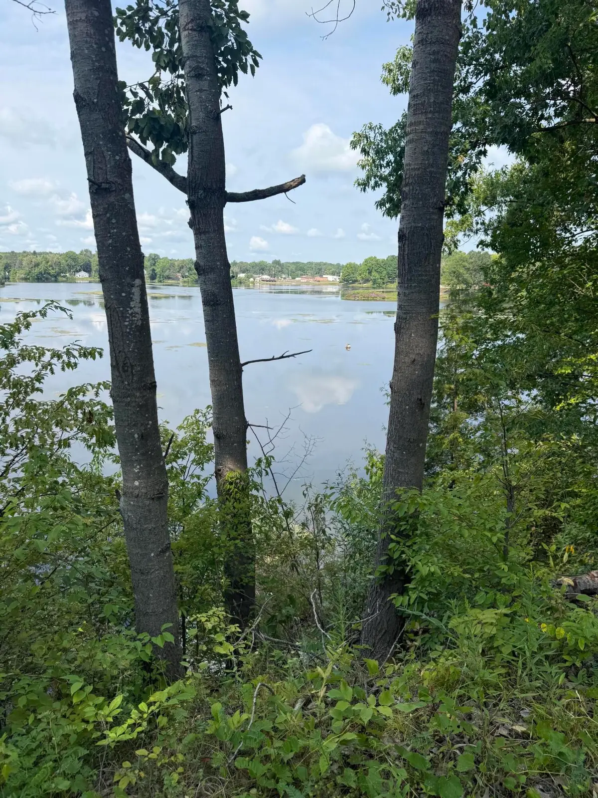 17820 W River Drive, Morley, MI 49336 - #1