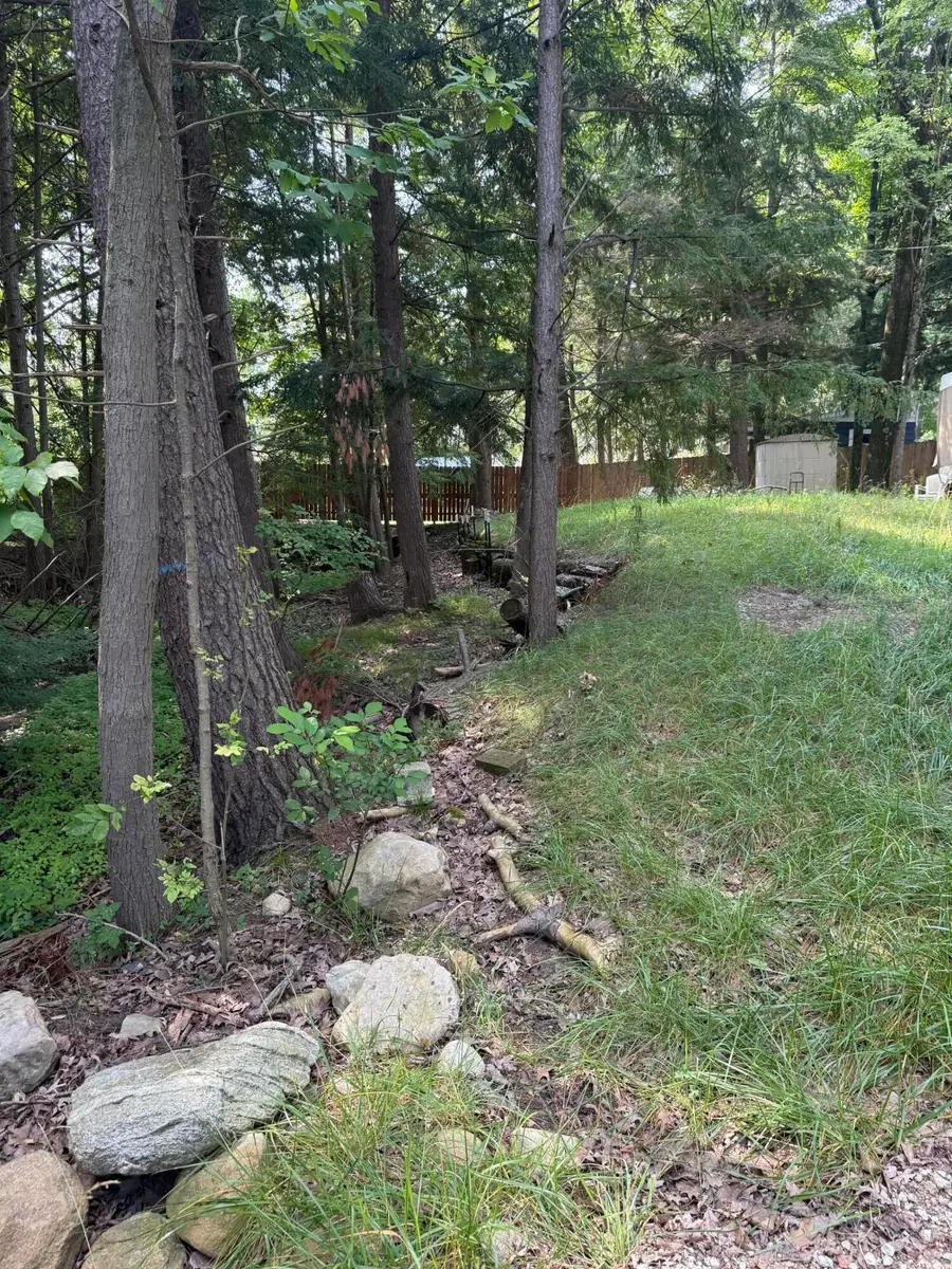 17820 W River Drive, Morley, MI 49336 - #3