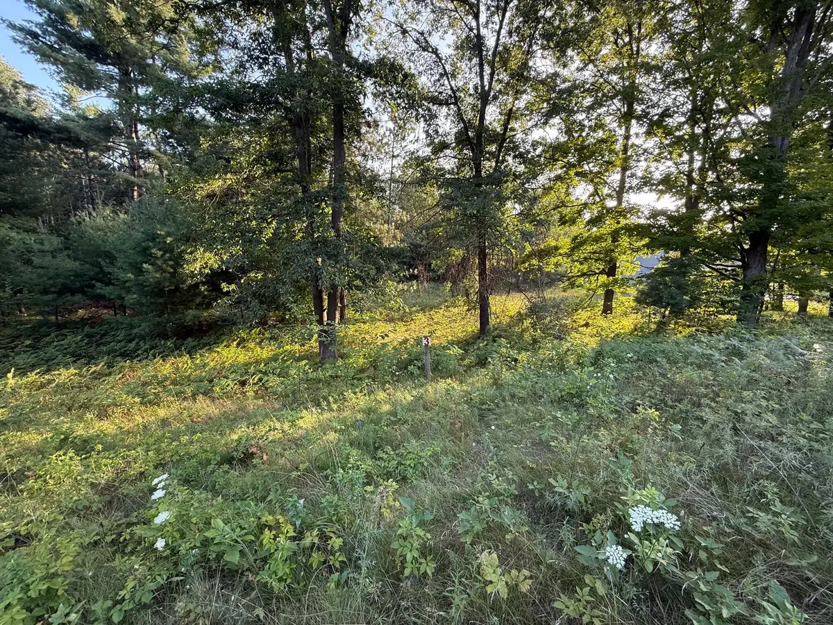 16345 Mitchell Creek Trail, Big Rapids, MI 49307 - #1