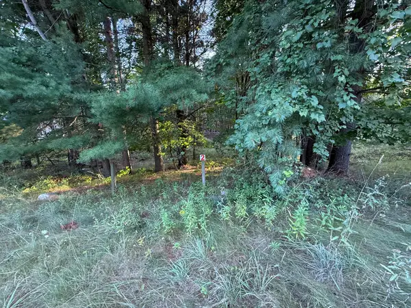 16313 Mitchell Creek Trail, Big Rapids, MI 49307