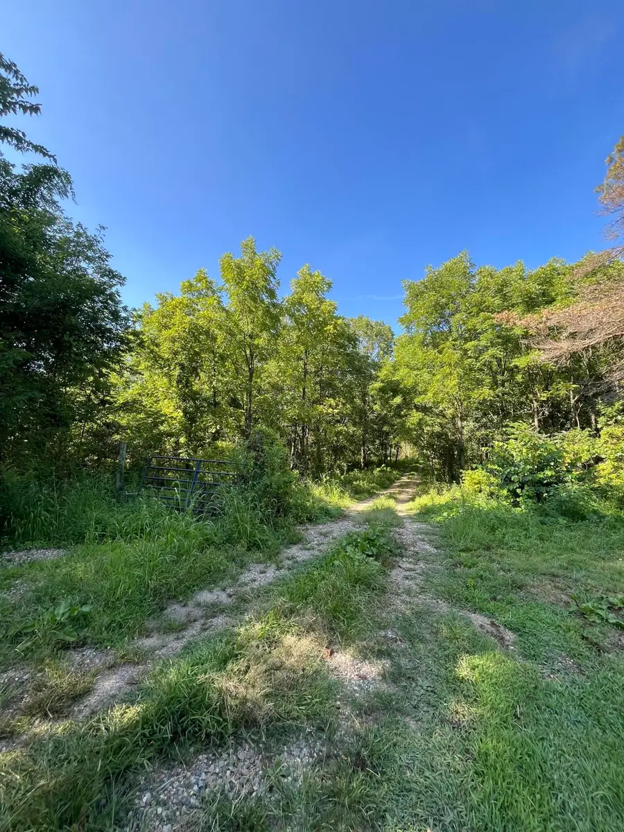 128 Washington Street, Galesburg, MI 49053 - #2