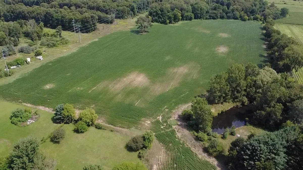 88375 Cr-668, Decatur, MI 49045 - #1