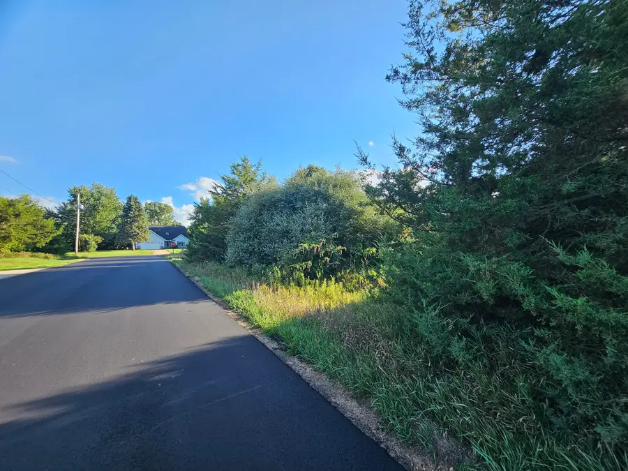 0 V/l Cannes Drive, Brooklyn, MI 49230 - #2