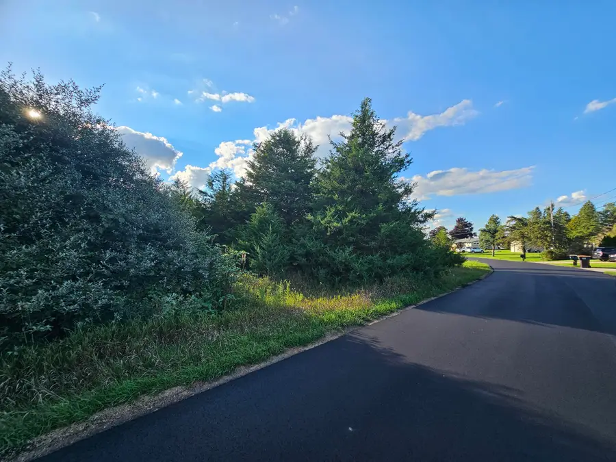 0 V/l Cannes Drive, Brooklyn, MI 49230 - #3