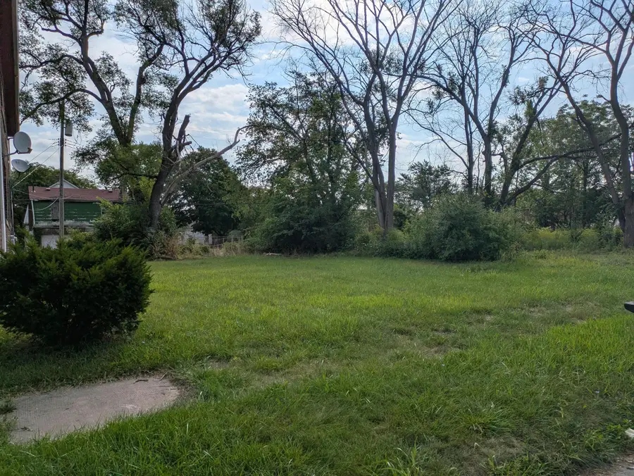 5626 Roosevelt Street, Detroit, MI 48208 - #3