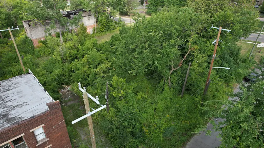 5631 Mckinley Street, Detroit, MI 48208 - #3