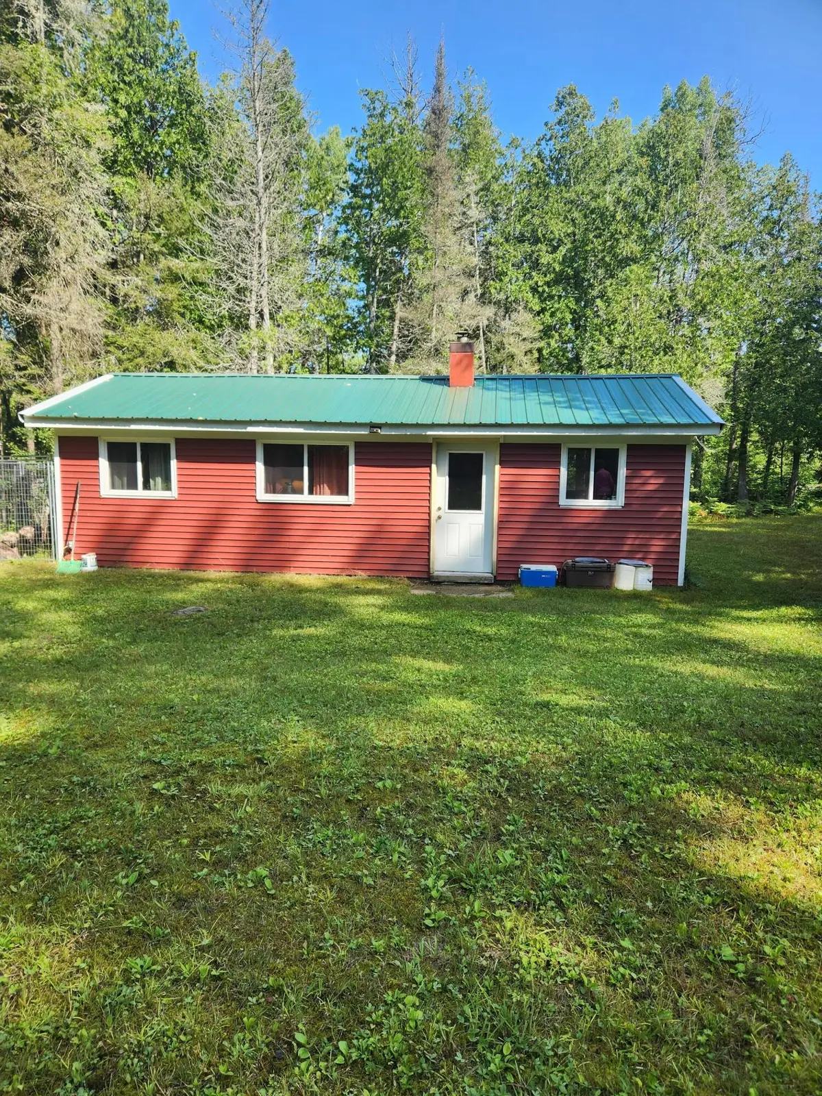 12456 E Gogomain Road, Pickford, MI 49774 - #1