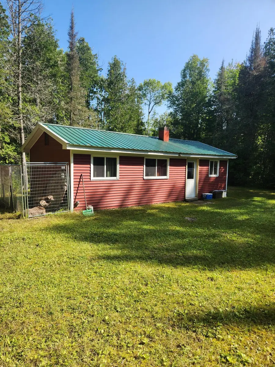 12456 E Gogomain Road, Pickford, MI 49774 - #2