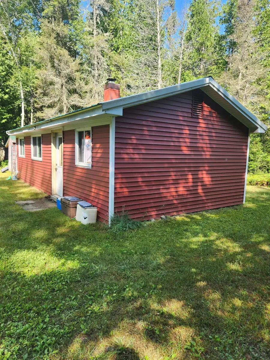 12456 E Gogomain Road, Pickford, MI 49774 - #3
