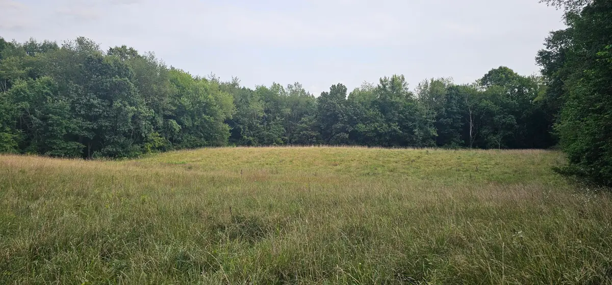 473 Block Road, Coldwater, MI 49036 - #1