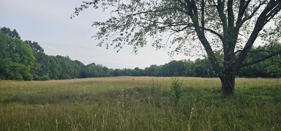 473 Block Road, Coldwater, MI 49036 - #2