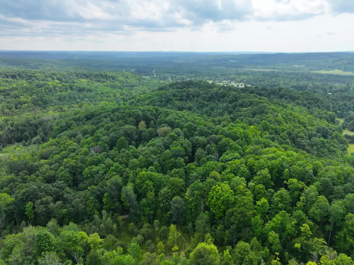 V/L W20A Lambdin Road, East Jordan, MI 49727 - #1