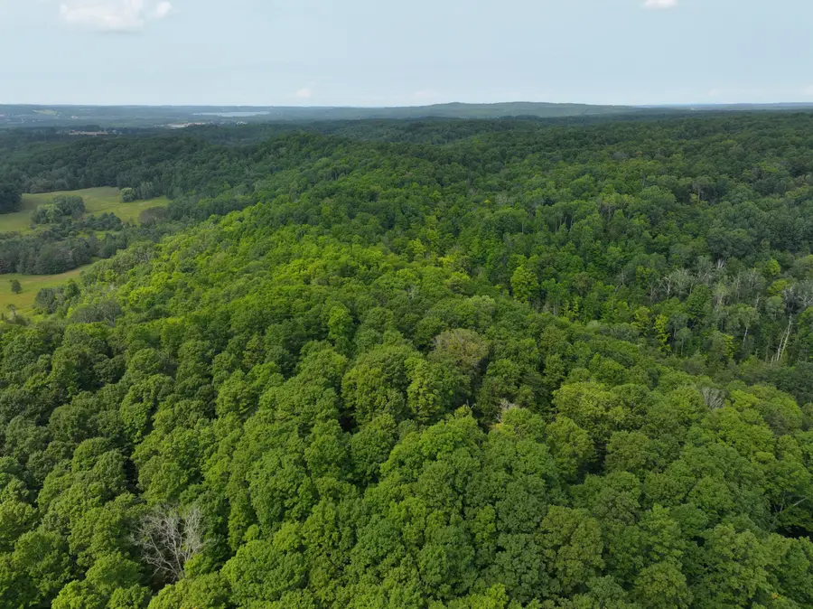 V/L W20A Lambdin Road, East Jordan, MI 49727 - #2