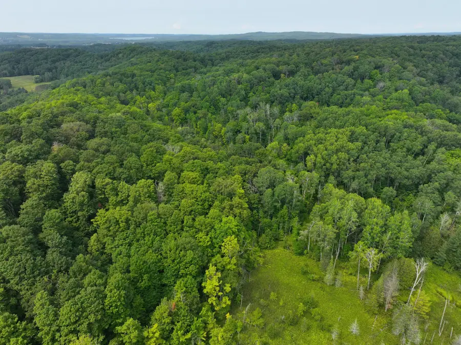 V/L W20A Lambdin Road, East Jordan, MI 49727 - #3
