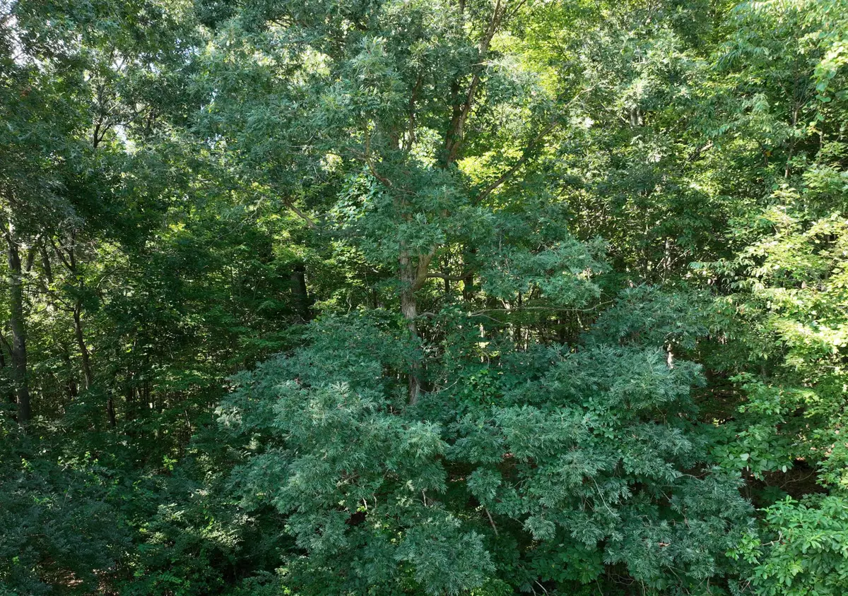 Harris Lane, Niles, MI 49120 - #1