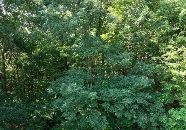 Harris Lane, Niles, MI 49120