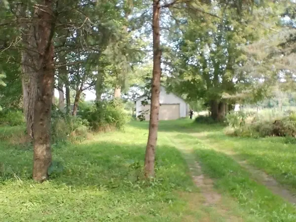 Musbach Road, Munith, MI 49259
