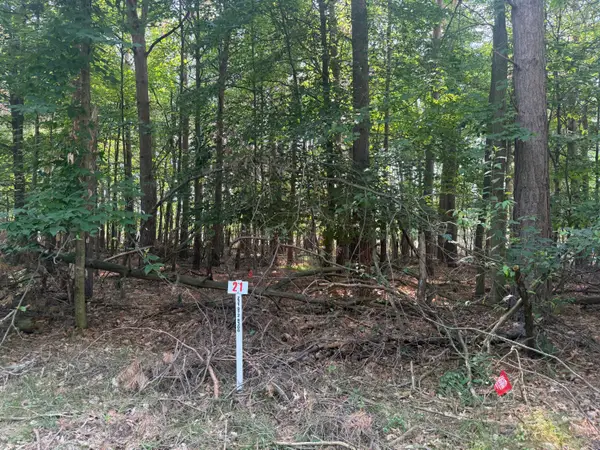 7745 Lakeview Drive, Stanwood, MI 49346