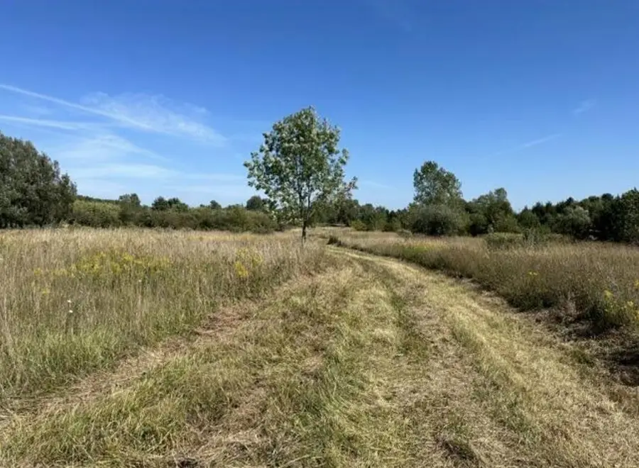 V/L Rolling Hills Drive, Ganges, MI 49408 - #2
